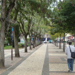 dsc01994